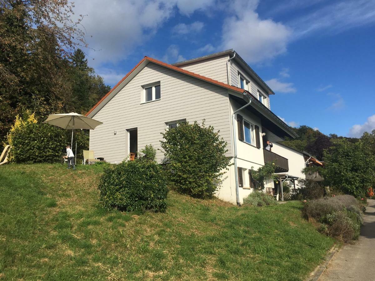 Alpenpanorama Am Hochrhein Villa Gailingen Exterior photo