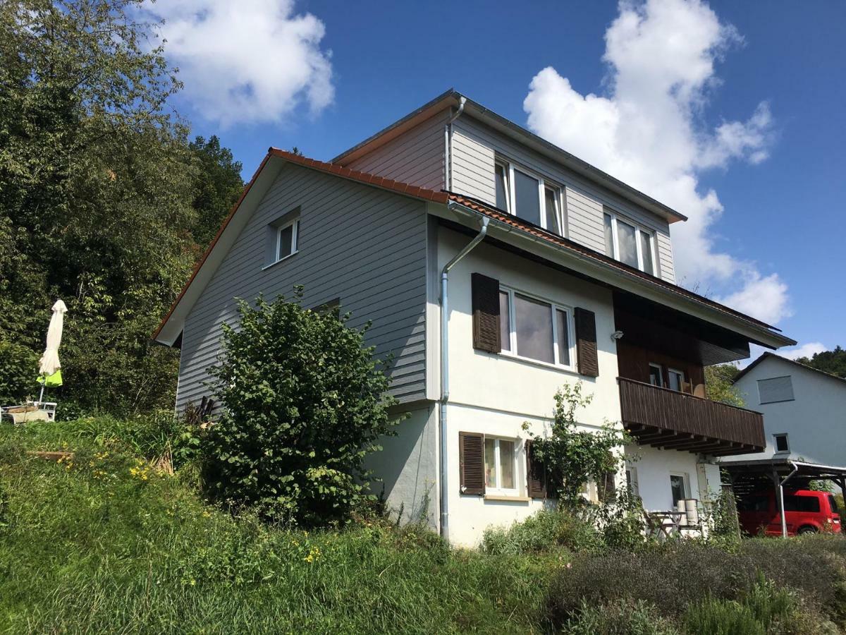 Alpenpanorama Am Hochrhein Villa Gailingen Exterior photo